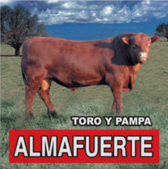 Almafuerte - Toro y pampa (VINILO LP)