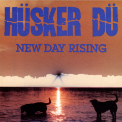 HUSKER DU - New Day Rising LP