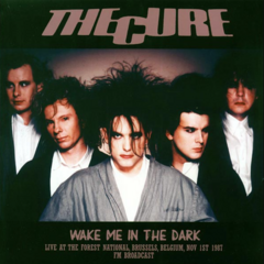 The Cure - Wake me in the dark. Live at the Forest National, Bruselas 1987 (VINILO LP)