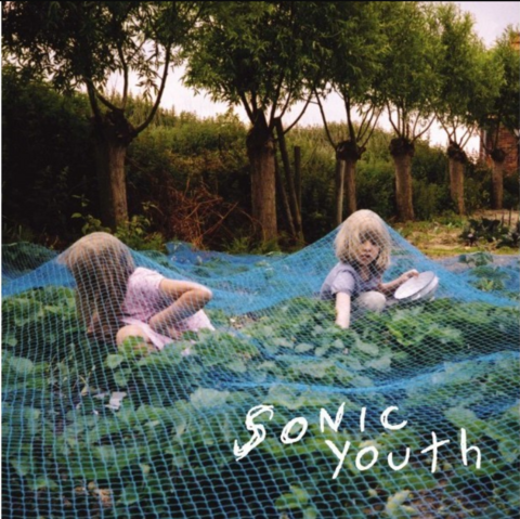 Sonic Youth - Murray Street (VINILO LP)