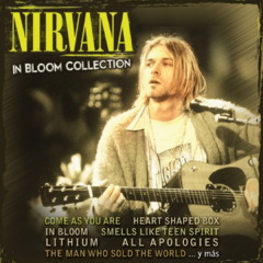 Nirvana - In Bloom Collection (CD)