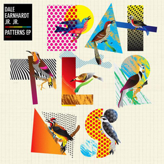Dale Earnhardt Jr. - Patterns (VINILO 12" EP)