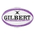 Pelota de Rugby Challenge N°5 - Gilbert