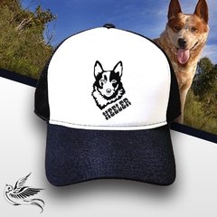 BONÉ HEELER - loja online