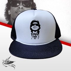 BONÉ EAZY DUZ IT NWA ABA RETA TRUCKER - loja online