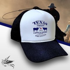 BONÉ TEXAS CATLE & COWBOYS - comprar online