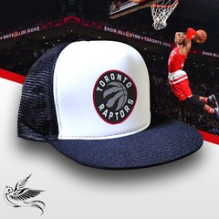 BONÉ RAPTORS BASQUETE - comprar online