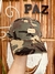 Gorra camuflada en internet