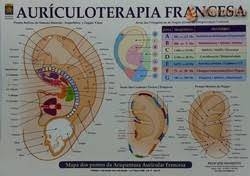 Mapa Cartografia Auricular Francesa - José Trezza Netto em Promoção na  Americanas