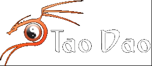 Tao Dao - Acupuntura e terapias holísticas