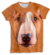 Remera de Perro Bull Terrier Marron y Blanco colección Furious