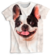 Remera de Perro bulldog frances blanco y negro mod 2 Furious