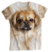 Remera de Perro Pekinés marrón claro colección Furious