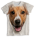 Remera de Perro Jack Russell Terrier mod 3 colección Furious
