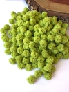 KIT COM 10 POMPONS DE MALHA DE 1,5CM VERDE MAÇÃ