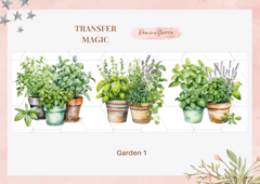 Transfer magic - Garden 1
