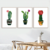 SET DE 3 CUADROS CACTUS MAZ