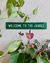 Placa de Acrílico - Welcome To The Jungle - comprar online