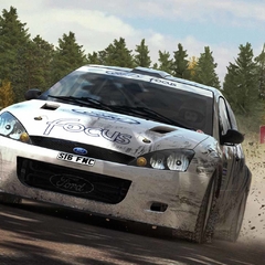 DIRT RALLY PS4 DIGITAL SECUNDARIA en internet