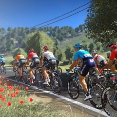 TOUR DE FRANCE 2019 PS4 DIGITAL PRIMARIA en internet