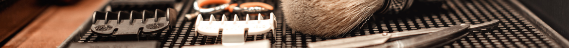 Banner de FYLAX  