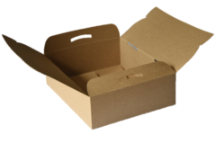 Caja Delivery Biodegradable Packaging 25x20,5x7,5cm X90u - comprar online