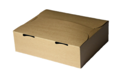 Caja Delivery Biodegradable Packaging 25x20,5x7,5cm X90u en internet
