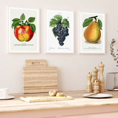 Set de 3 Cuadros Frutas