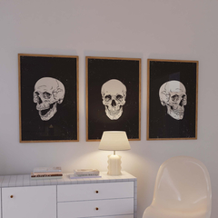Set de 3 cuadros Skulls