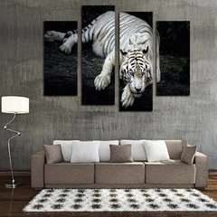 Cuadro tríptico Tigre de Bengala blanco