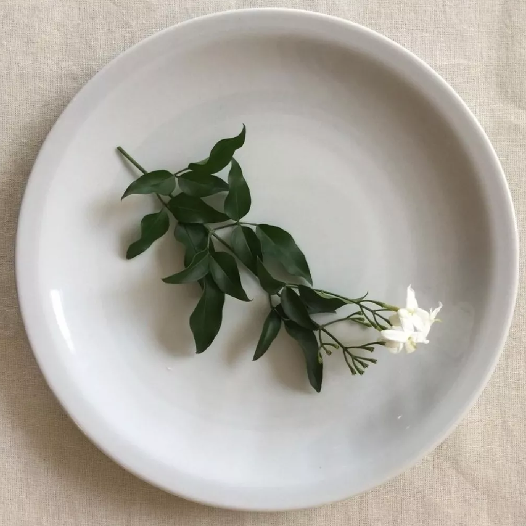 Plato Playo Porcelana Verbano L nea Recta 27 Cm X6