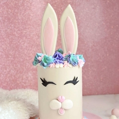 Set placa orejas conejo - comprar online