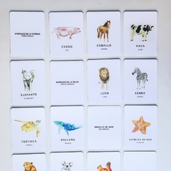 Flash Cards Fauna  - comprar online