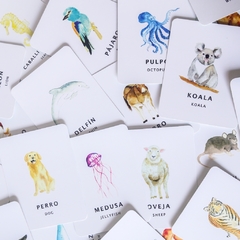 Flash Cards Fauna  en internet