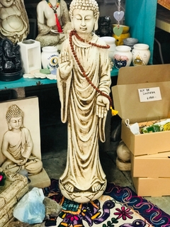 Buda parado compasion 12025 en internet