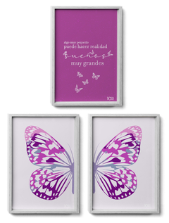 Cuadros Serie Mariposas - comprar online