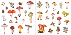 Imagen de Libro de stickers: Bunches of Botanicals!