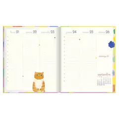 Agenda Semanal 2025 (17×20) - Planet Cat - tienda online