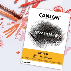 Pad Bristol Canson - comprar online