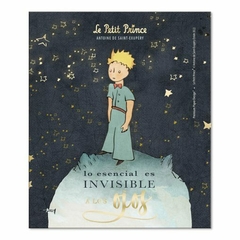 Paño Limpia Lentes – Le Petit Prince