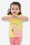 REMERA FLAMENCO BEBÉ NIÑA (2268)