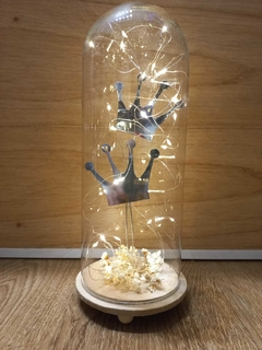 cúpula de vidrio con apliques y luz led en internet