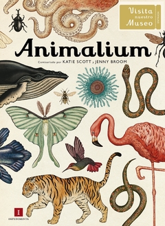 Animalium