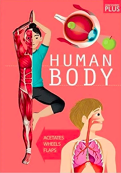 Human body