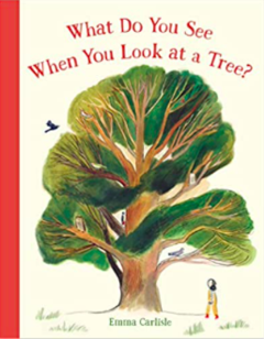 What do you see when you look at a tree?