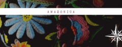 Banner de la categoría Amazónica