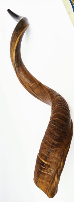 shofar 122.5cm - - comprar online