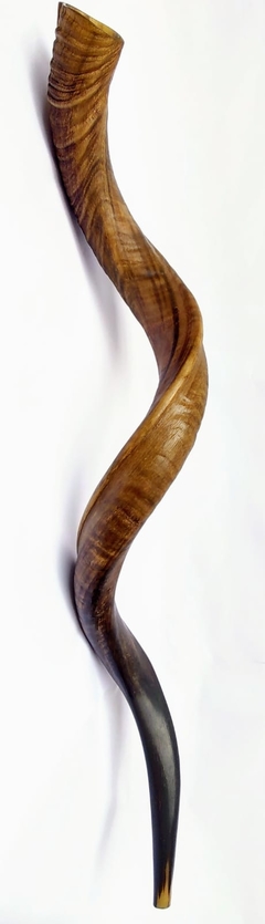 shofar 122.5cm - - comprar online