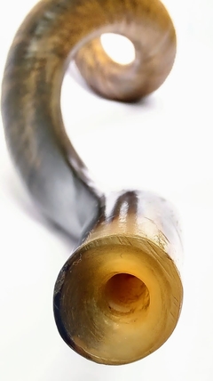 shofar 114cm - Berrantes Agrizzi 