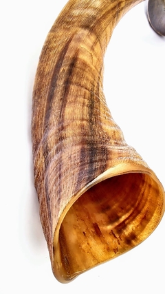 shofar 122.5cm - - online store